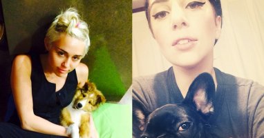[Mlog Sao] Miley Cyrus, Lady Gaga đồng loạt "tự sướng" cùng thú cưng