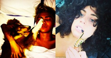 [Mlog Sao] Miley Cyrus say giấc cùng chó cưng, Lady Gaga tập tành thổi kèn saxophone
