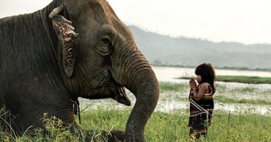 Chuyện bé gái Việt huấn luyện voi lên báo Anh