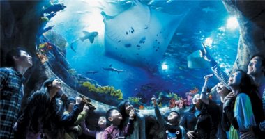 Thăm công viên Hải Dương đầy lí thú ở Hồng Kông