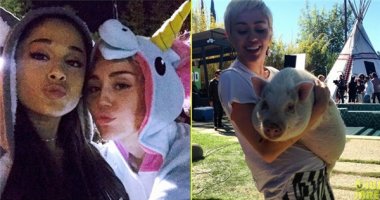 [Tết 2015] Miley Cyrus và Ariana Grande “nhí nhố” ủng hộ người vô gia cư