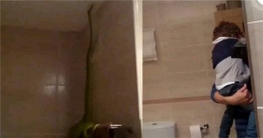 Kinh hoàng con trăn dài 1,2m hung hãn "đột nhập" vào phòng tắm