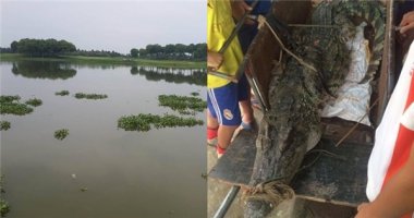 Đi bắt tép, đánh luôn được cá sấu nặng hơn 70kg giữa hồ Hà Nội