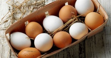 Trứng gà nâu và trứng gà trắng có gì khác biệt?