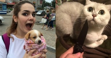 Thiếu nữ Nga bị bắt vì tra tấn chó mèo rồi tung ảnh lên mạng