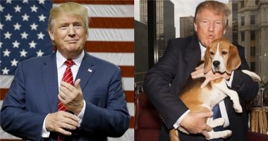 Bí ẩn về "Đệ nhất thú cưng Nhà Trắng" của tân tổng thống Donald Trump