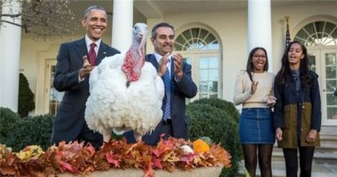 Chú gà tây cuối cùng được Tổng thống Obama "ân xá" tại Nhà Trắng