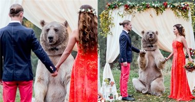 Ngỡ ngàng đám cưới có chủ hôn là một chú gấu khổng lồ
