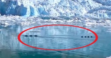 Rò rỉ clip rồng nước khổng lồ đang nhấp nhô trên sông băng Alaska?