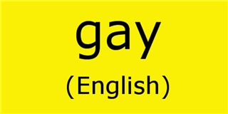 Bạn có biết Gay có nghĩa là gì trong ngôn ngữ các nước?
