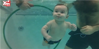 Ngắm các em bé thích thú học bơi cùng bố mẹ