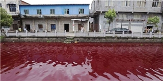 Hãi hùng dòng sông Trung Quốc hóa màu máu người chỉ sau 1 đêm 
