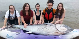 5 cô gái bất ngờ bắt được cá ngừ đại dương trị giá 33 tỉ đồng