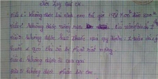 Nữ sinh 14 tuổi viết  "nội quy giữ chồng": bạn trai bị tù