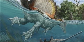 Phát hiện loài khủng long ăn thịt dưới nước lớn nhất thời đại