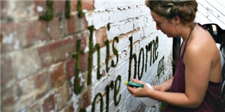 Độc đáo bí quyết vẽ Graffiti rêu cực thân thiện với môi trường