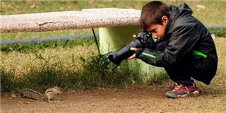 Cậu bé 9 tuổi đoạt giải nhiếp ảnh gia trẻ quốc tế về động vật hoang dã 