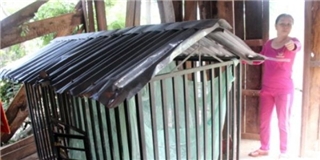 Đắk Lắk: Mẹ nhốt con vào chuồng chó gây xôn xao