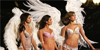 Lò tuyển chọn thiên thần của Victoria's Secret