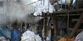 Những hình ảnh kinh hoàng về quy trình sản xuất giấy ăn