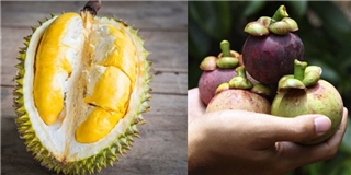 Những loại trái cây châu Á khiến khách phương Tây mê tít
