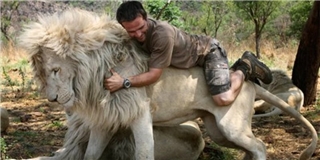 Tròn mắt xem người đàn ông vui đùa với sư tử châu Phi