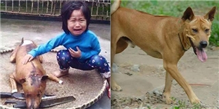 Câu chuyện cảm động đằng sau bức ảnh Bé gái khóc bên chú chó bị làm thịt