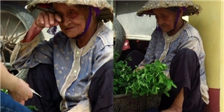 Xót thương hoàn cảnh bà cụ bán rau kiếm 10.000 đồng sống qua ngày