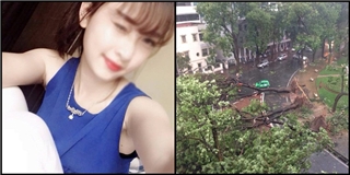 Tiếc thương cô gái bị cây đè chết trong cơn bão kinh hoàng tại Hà Nội