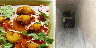 Rùng mình khám phá căn hầm bí ẩn cùng những món ăn kinh dị giữa Sài Gòn