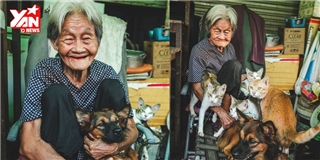 Hạnh phúc cuối đời của cụ bà bán rau bên đàn chó mèo hoang