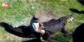 Người đàn ông dám cưỡi cá sấu vừa to vừa dữ tợn