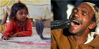 Ớn lạnh với bộ tộc “mê” rắn độc nhất thế giới