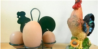 Há hốc mồm trước quả trứng gà có 4 lòng đỏ cực quí hiếm