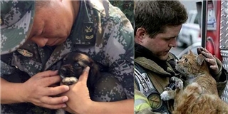 Xúc động trước cảnh lính cứu hỏa quên mình giải cứu động vật