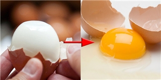 Nghiên cứu đột phá: có thể biến trứng đã chín thành trứng sống