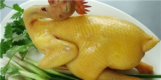 Phát hoảng cho gà ăn chất độc để có thịt màu vàng