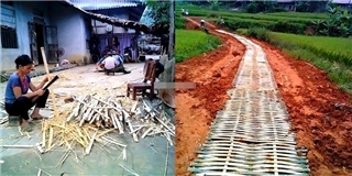Con đường bê tông tre "độc" nhất Việt Nam