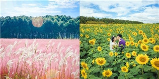 7 điểm chụp hình với hoa đẹp nức tiếng của miền Nam