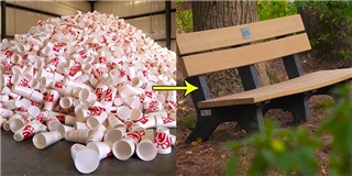 Ghế ngồi được làm từ những chiếc li nhựa tái chế độc đáo