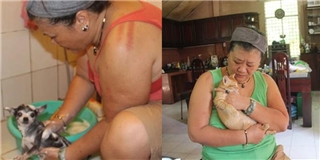 Chuyện lạ lùng về người mẹ nuôi 56 đứa ‘con thơ’ là đàn chó mèo