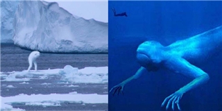 Quái vật cao 30 mét hình dạng giống người ở Nam Cực