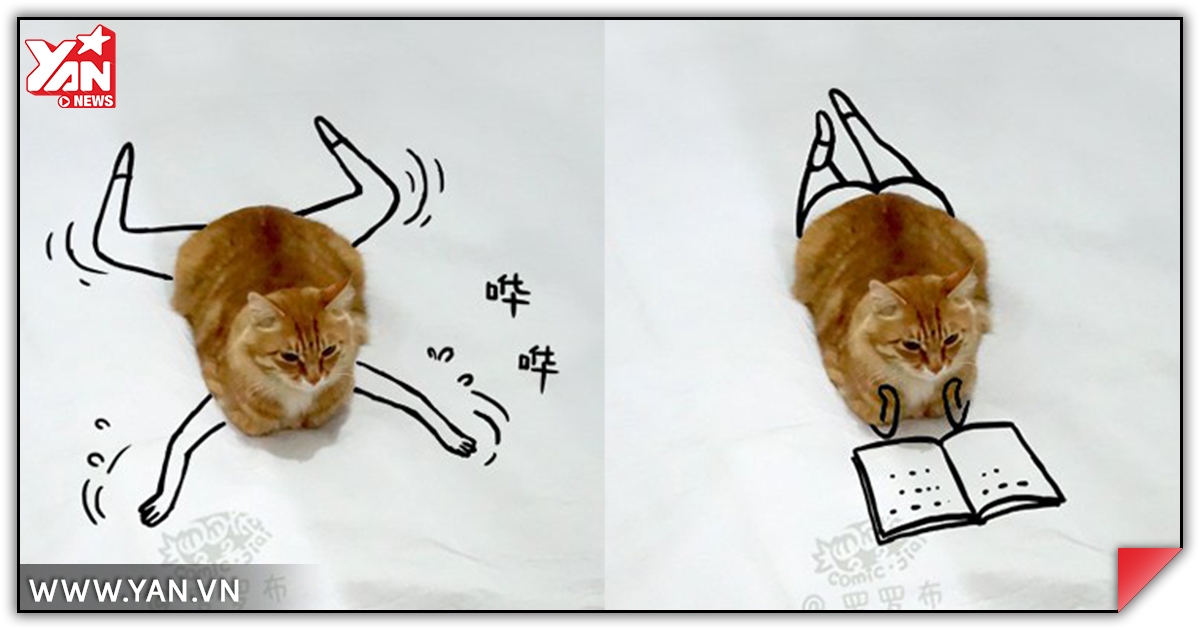 Vẽ chân cho mèo hài hước: Bạn là tín đồ của nghệ thuật? Bạn yêu thích mèo? Hãy cùng xem hình ảnh này và rút ra những bài học thú vị trong việc vẽ chân cho mèo hài hước này. Chắc chắn bạn sẽ không thất vọng!