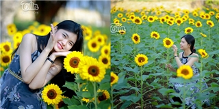 Vườn hướng dương Đồng Nai - điểm 'pose hình' mới siêu hot