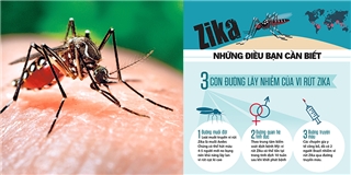 Infographic- Zika đang ở gần chúng ta hơn mức tưởng tượng!
