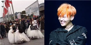 Nhóm fan nữ mặc áo cưới đến fan meeting cầu hôn G-Dragon