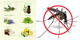 Mẹo phòng tránh muỗi không dùng hóa chất