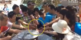 Clip du khách Trung Quốc cướp sạch đĩa vải thiều trong... 7 giây
