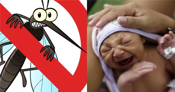 Đề phòng vi-rút Zika gây teo não từ những phương pháp đơn giản nhất