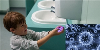 Kinh hoàng với số lượng virus có trong máy sấy khô tay
